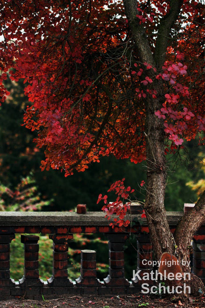 Herbst