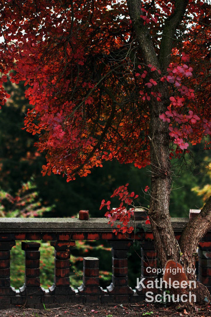 Herbst