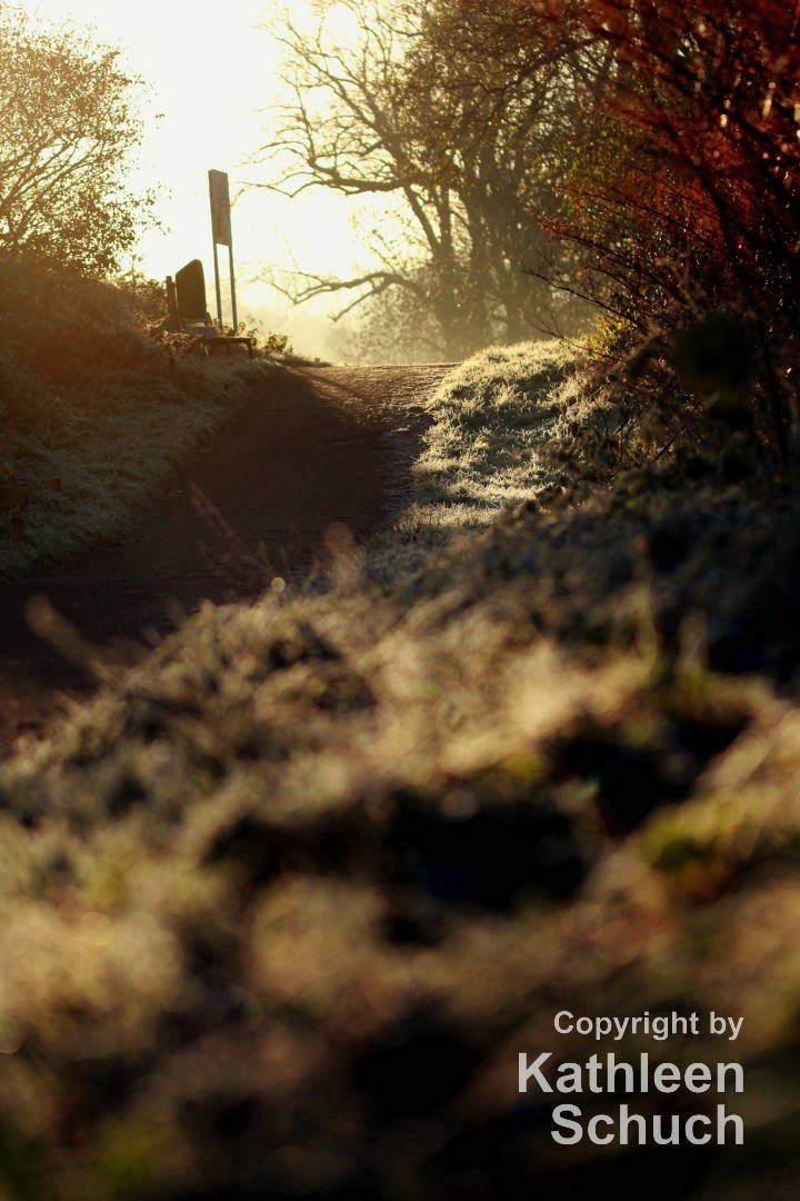 Wintermorgen