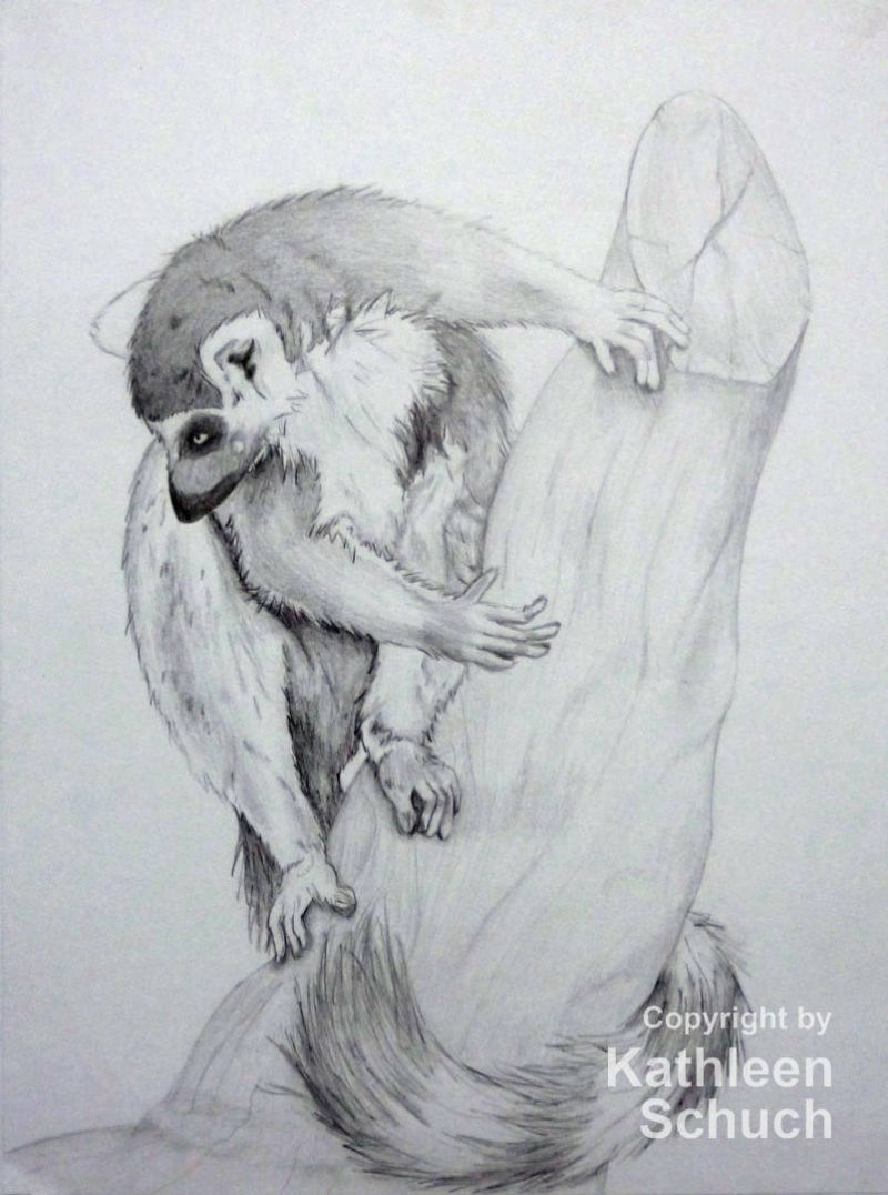 Katta