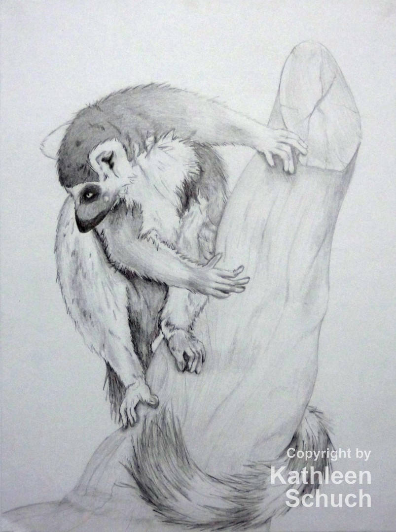 Katta